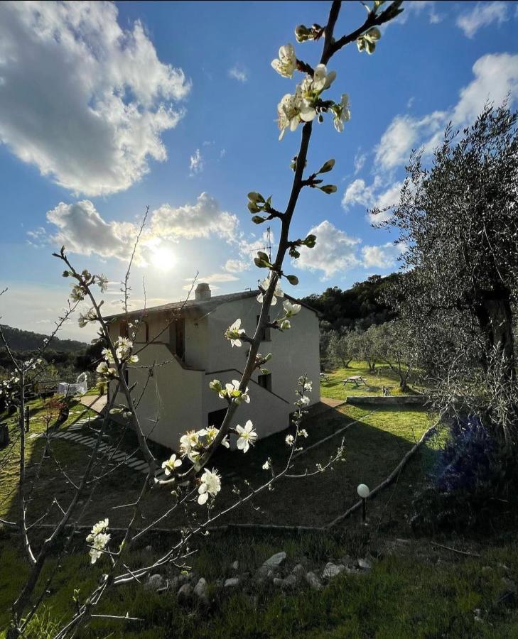 Agriturismo Il Sorbo Appartamento Menta Sticciano Экстерьер фото
